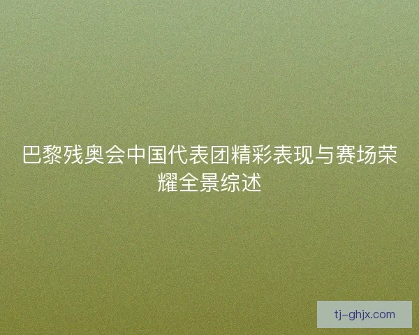 巴黎残奥会中国代表团精彩表现与赛场荣耀全景综述