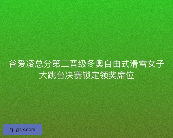 谷爱凌总分第二晋级冬奥自由式滑雪女子大跳台决赛锁定领奖席位